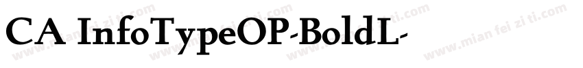 CA InfoTypeOP-BoldL字体转换